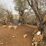 Pedro\'S Camp