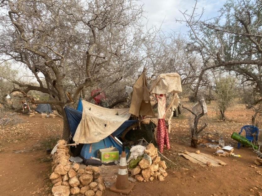 Pedro's Camp Luxury tent